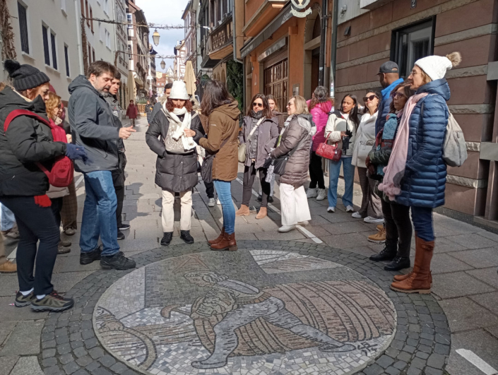 viaje3 705x531 - Viaje Alem&aacute;n - Franc&eacute;s